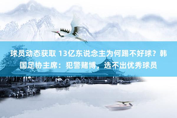 球员动态获取 13亿东说念主为何踢不好球？韩国足协主席：犯警赌博，选不出优秀球员