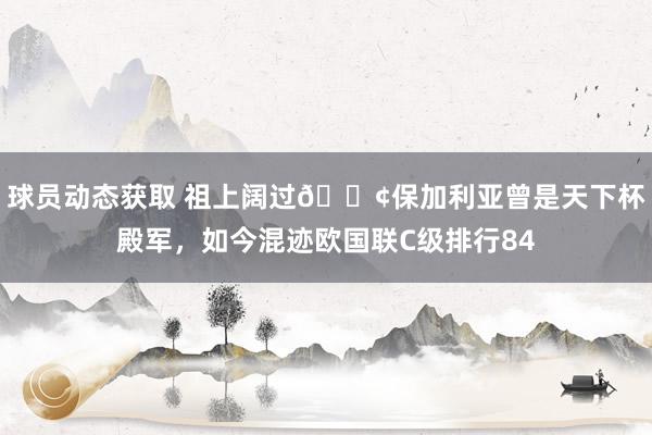 球员动态获取 祖上阔过😢保加利亚曾是天下杯殿军，如今混迹欧国联C级排行84