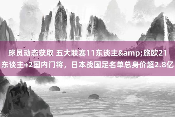 球员动态获取 五大联赛11东谈主&旅欧21东谈主+2国内门将，日本战国足名单总身价超2.8亿