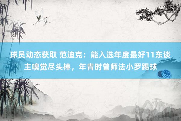 球员动态获取 范迪克：能入选年度最好11东谈主嗅觉尽头棒，年青时曾师法小罗踢球