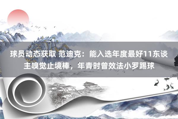 球员动态获取 范迪克：能入选年度最好11东谈主嗅觉止境棒，年青时曾效法小罗踢球