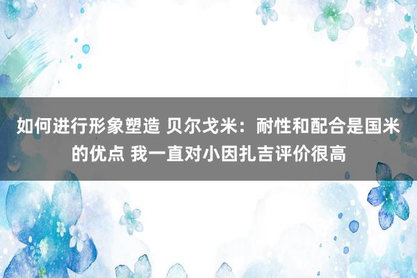 如何进行形象塑造 贝尔戈米：耐性和配合是国米的优点 我一直对小因扎吉评价很高