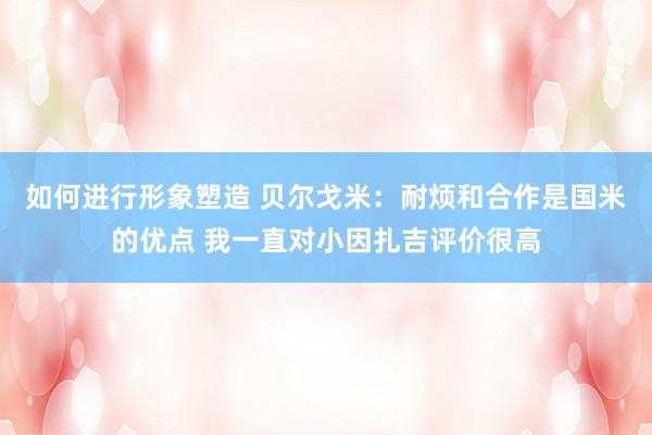 如何进行形象塑造 贝尔戈米：耐烦和合作是国米的优点 我一直对小因扎吉评价很高