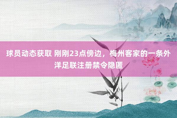 球员动态获取 刚刚23点傍边，梅州客家的一条外洋足联注册禁令隐匿