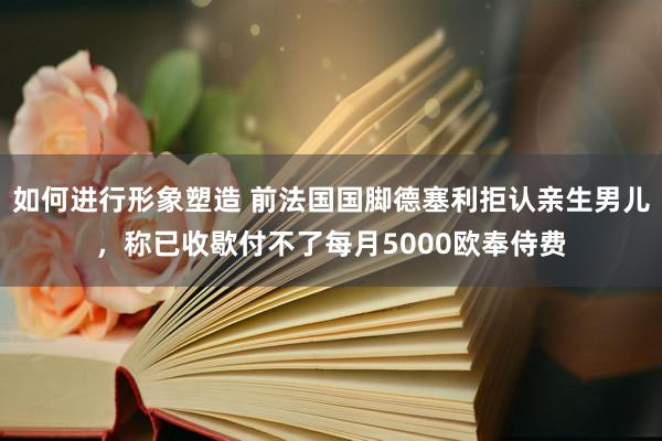 如何进行形象塑造 前法国国脚德塞利拒认亲生男儿，称已收歇付不了每月5000欧奉侍费