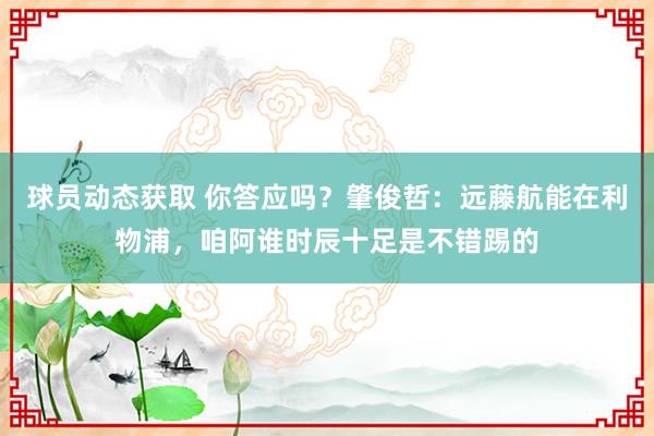 球员动态获取 你答应吗？肇俊哲：远藤航能在利物浦，咱阿谁时辰十足是不错踢的