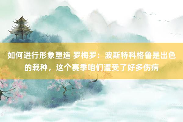 如何进行形象塑造 罗梅罗：波斯特科格鲁是出色的栽种，这个赛季咱们遭受了好多伤病