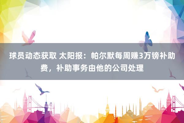 球员动态获取 太阳报：帕尔默每周赚3万镑补助费，补助事务由他的公司处理