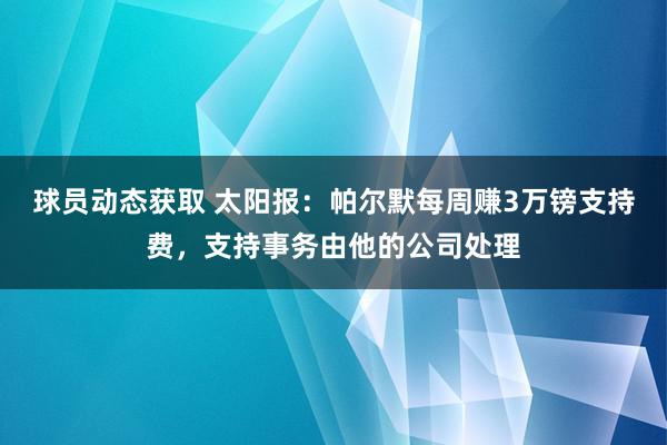 球员动态获取 太阳报：帕尔默每周赚3万镑支持费，支持事务由他的公司处理