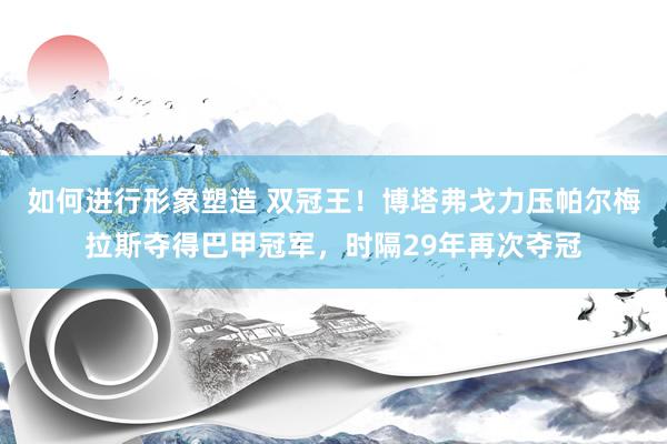 如何进行形象塑造 双冠王！博塔弗戈力压帕尔梅拉斯夺得巴甲冠军，时隔29年再次夺冠