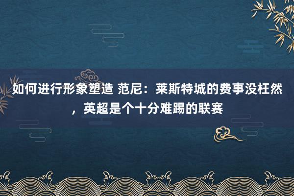 如何进行形象塑造 范尼：莱斯特城的费事没枉然，英超是个十分难踢的联赛