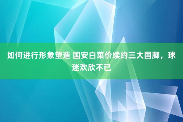 如何进行形象塑造 国安白菜价续约三大国脚，球迷欢欣不已