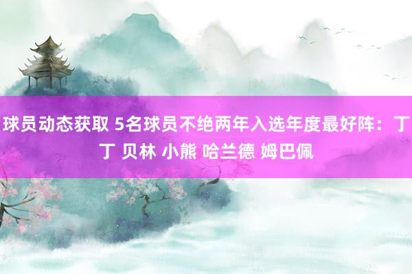 球员动态获取 5名球员不绝两年入选年度最好阵：丁丁 贝林 小熊 哈兰德 姆巴佩